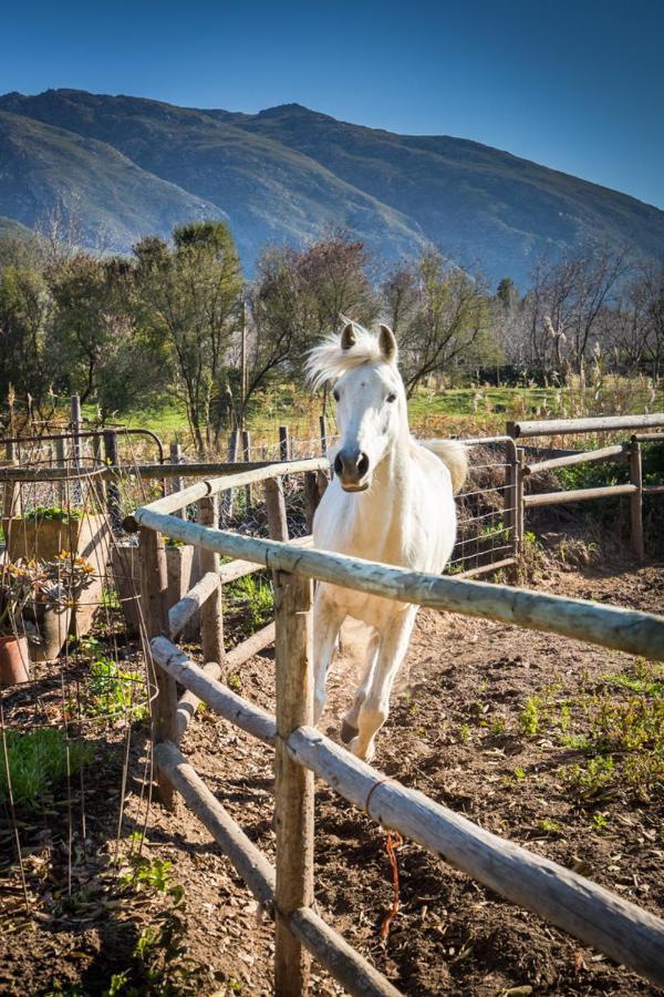 Aasvoelkrans Guest Farm Bed and Breakfast Montagu Εξωτερικό φωτογραφία